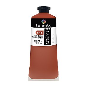 TINTA P/TELA 100ML 543 VERM.CADMIO CLARO UND