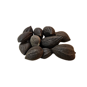 Fava São Cipriano - Umbanda E Candomblé