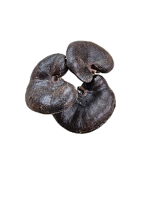 Fava De Oba - Umbanda E Candomblé