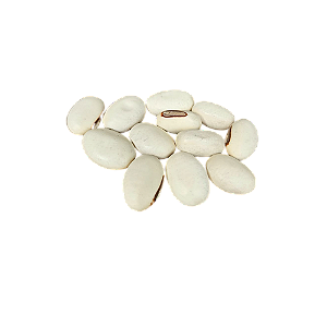Fava De Oxala - Umbanda E Candomblé