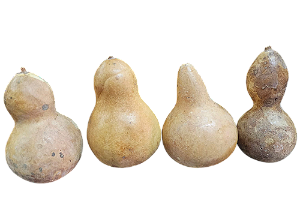 Mini Cabaça