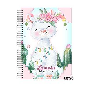 Caderneta de Saúde: Llama Menina