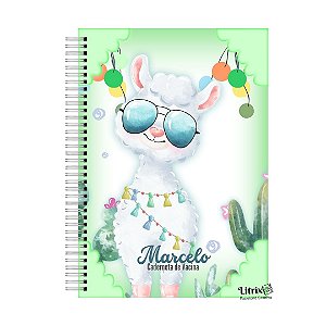 Caderneta de Saúde: Llama Menino