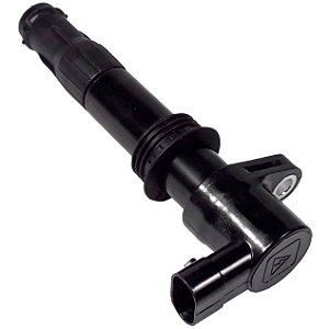 Bobina De Ignicao Land Rover Freelander 1 2.5 V6 2003 > 20