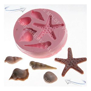 Molde De Silicone: Conchas Diversas
