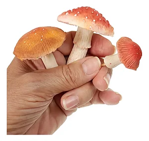 Molde de Silicone: 5 Cogumelos