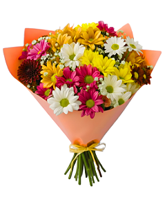 Explosão de Alegria