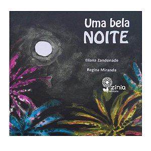 UMA BELA NOITE