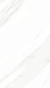 REVESTIMENTO HD 32X57 HARMONY CERAL VENDA POR CAIXA, caixa com 2,22M2