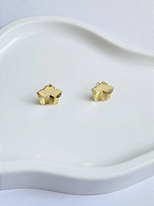 Brinco Flor Delicada Lisa Banho de Ouro 18k