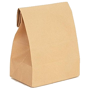 Saco Kraft SOS Delivery PP 5KG 25x18x12cm 50 un