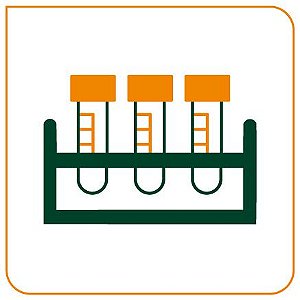 ELETROFORESE DE LIPOPROTEÍNAS