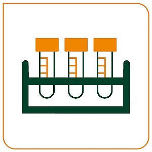 CULTURA STREPTOCOCCUS AGALACTIAE ( GRUPO B) - 2º A