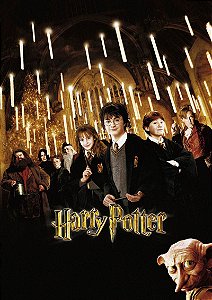 Poster Cartaz Harry Potter e a Câmara Secreta D