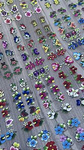 Adesivos³D Mega-Cartelão com 240 (uni).