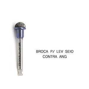 BROCA LSM CONTRA  ANGULO