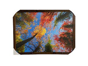Quadro Decorativo Paisagem Ypê Árvores Floridas 50x70cm