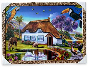Quadro Decorativo Imagem Casa  Arara Tucano Paisagem 50x70cm
