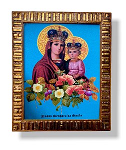 Quadro Nossa Senhora Da Saude Decorativo Resinado 25x30