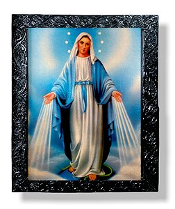 Nossa Senhora Das Graças Quadro Decorativo Resinado 25x30