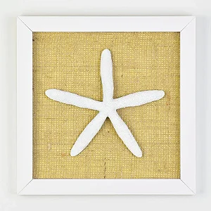 Quadro com Tela Estrela Fina - 25cm x 25cm