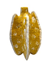 Vaso em Cerâmica Carambola - Amarelo