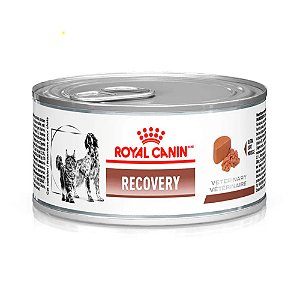 Ração Úmida Royal Canin Recovery para Cães e Gatos em Recuperação- 195g
