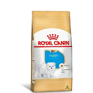 Ração Royal Canin Maltês para Cães Filhotes