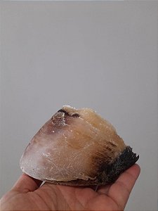 Casco Bovino