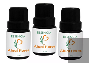 Kit Com 20 Essências - Atual Flores 10ml