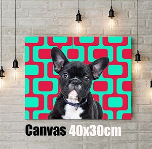Q!Pet Canvas Premium 40x30cm