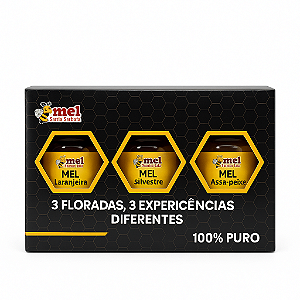 Kit Mel 3 Floradas Santa Bárbara 3x40g  Presente Gourmet