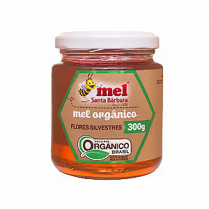 Mel Puro Silvestre Santa Bárbara 300g | Vidro, 100% Natural e Artesanal
