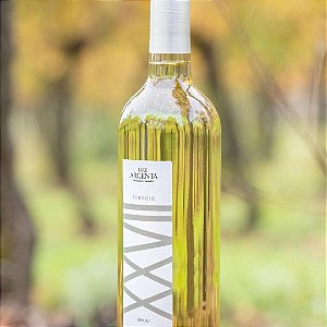 Vinho Branco Chardonnay + Viognier 2023 Terroir XXVII  Luiz Argenta