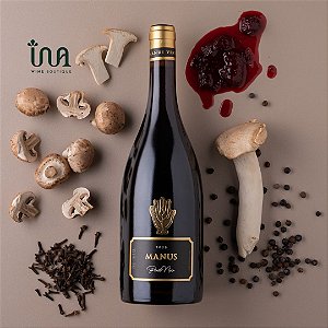 Vinho Tinto Pinot Noir 2021 Manus