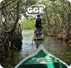 ROTEIRO PEDAGÓGICO - Manguezal – Day Use SESC Guadalupe