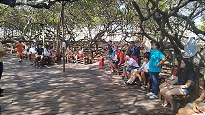 ROTEIRO PEDAGÓGICO (8º Ano) - Rio Grande do Norte