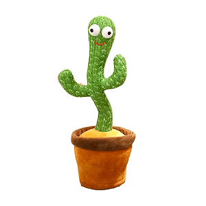 Cacto Dançante