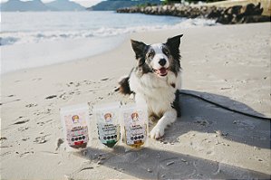 Box 1 Fruta e 2 Proteínas - Biscoito