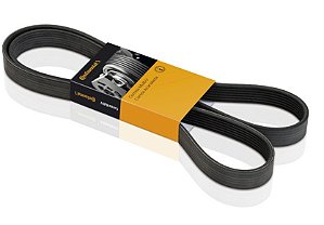 Correia - Spacefox 1.0/1.6 8v - Motor EA111 2003 a 2008 - GIR/ALT