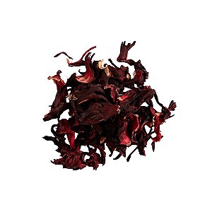 HIBISCO EM FLORES