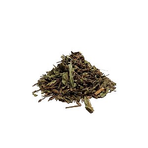 CARQUEJA AMARGA