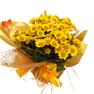 Arranjo de margarida