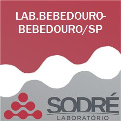 Exame Toxicológico - Bebedouro-SP - LAB.BEBEDOURO-BEBEDOURO/SP (C.N.H, Empregado CLT, Concurso Público)