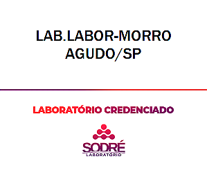 Exame Toxicológico - Morro Agudo-SP - LAB.LABOR-MORRO AGUDO/SP (C.N.H, Empregado CLT, Concurso Público)