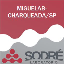 Exame Toxicológico - Charqueada-SP - MIGUELAB-CHARQUEADA/SP (C.N.H, Empregado CLT, Concurso Público)