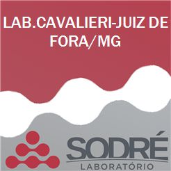 Exame Toxicológico - Juiz De Fora-MG - LAB.CAVALIERI-JUIZ DE FORA/MG (C.N.H, Empregado CLT, Concurso Público)