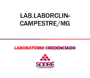Exame Toxicológico - Campestre-MG - LAB.LABORCLIN-CAMPESTRE/MG (C.N.H, Empregado CLT, Concurso Público)