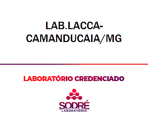 Exame Toxicológico - Camanducaia-MG - LAB.LACCA-CAMANDUCAIA/MG (C.N.H, Empregado CLT, Concurso Público)