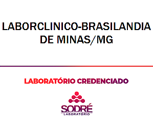 Exame Toxicológico - Brasilandia De Minas-MG - LABORCLINICO-BRASILANDIA DE MINAS/MG (C.N.H, Empregado CLT, Concurso Público)